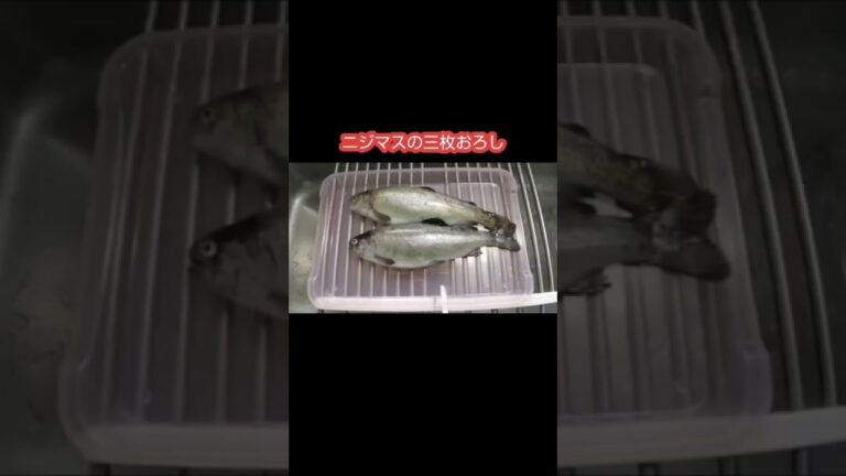 ニジマス臭みなくする調理法 #三枚おろし  #shorts