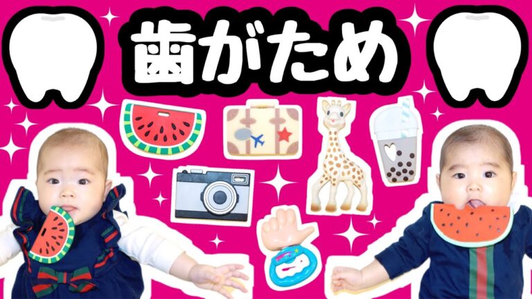★色々な「歯固め」比較！★双子のお気に入りはどれ？★