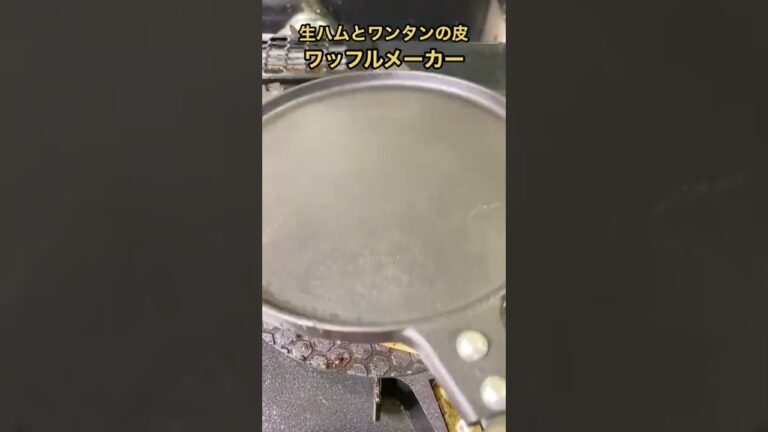 【簡単おつまみ】生ハムとワンタンの皮チップスの悪魔的うまさ #shorts