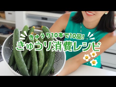 【完全保存版！】きゅうり10本で10品作ってみた🥒  | きゅうり消費ならこれ✅