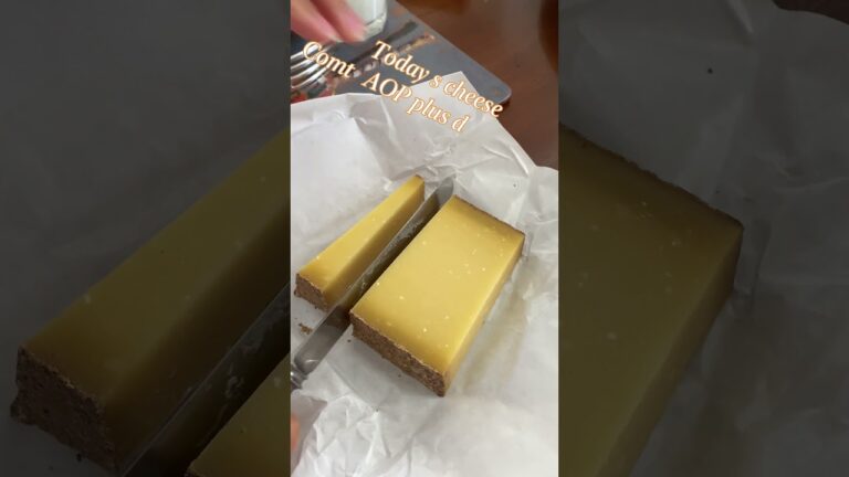 今日のチーズ　French cheese tasting Comte 30 months #shorts  #cheese #チーズ愛好家　＃フランス生活