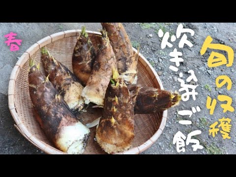 【田舎暮らし＃21】原価０円！タケノコの炊き込みご飯が美味しすぎる。