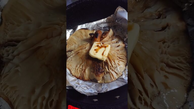 【シイタケ栽培の特権】お化けシイタケのバター醤油焼き #short #椎茸栽培 #孤独の飯