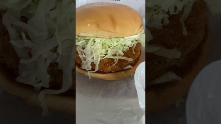 世界よ！これが日本の美味しい食べ物飲み物 エビカツバーガー　1624