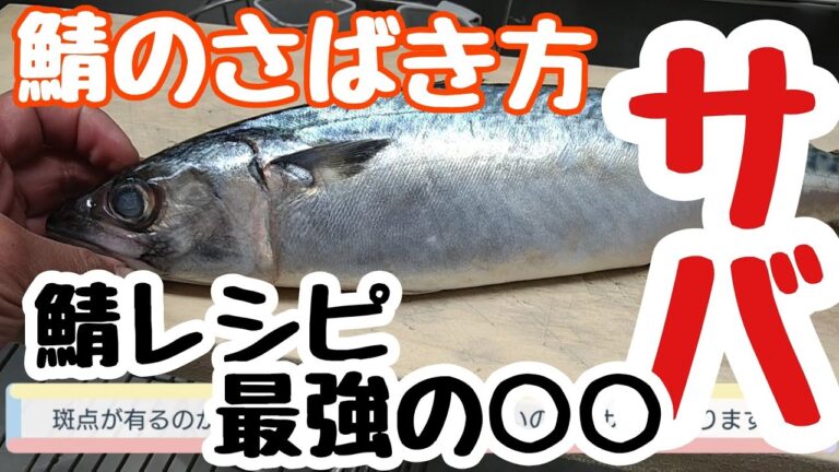 鯖（さば）のさばき方 - How to filet Mackerel -鯖レシピのオススメ鯖みそ煮