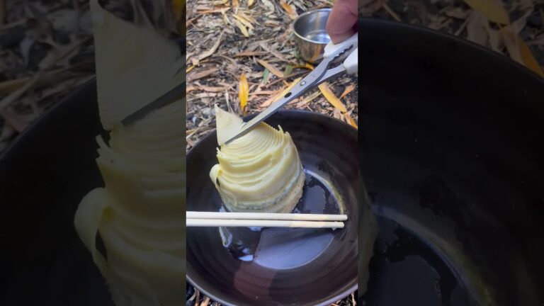 わさび醤油タケノコがヤバすぎた！