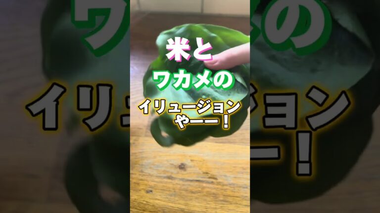 ママなんか嫌いだ！それでも作るよ【一汁一菜】娘の好きなわかめご飯