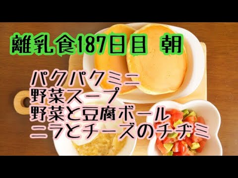 【離乳食 後期 作り方】朝からチヂミ作ったよ【生後11ヶ月】