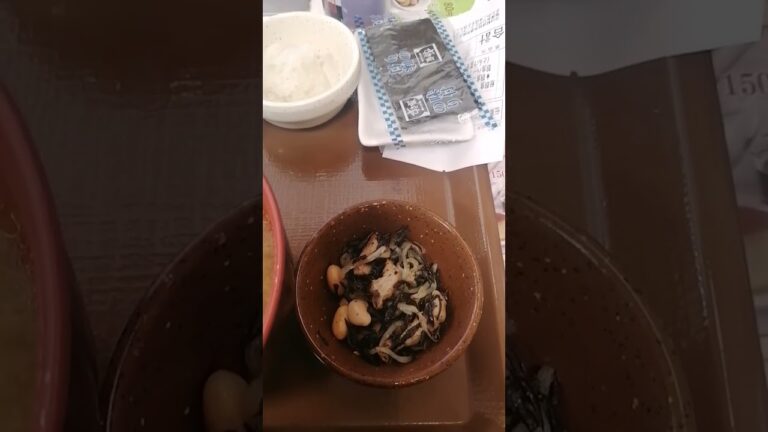 すき家の朝定食　鮭と大根おろしと豚汁　