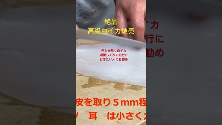 イカ焼売 早く消費して次の釣行❣️コメントから本編に飛んで見てねシュウマイ#shorts #イカメタル #オモリグ #シュウマイ