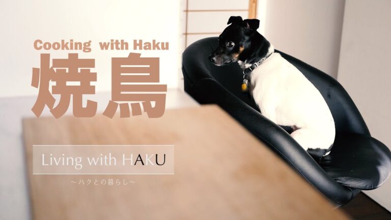 コストコのさくらどりで焼き鳥を作る（日本テリアとの暮らし）