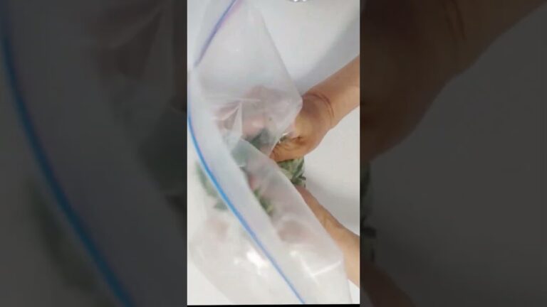 【小松菜の塩昆布浅漬け】クックパッドレシピ｜簡単時短レシピ #Shorts