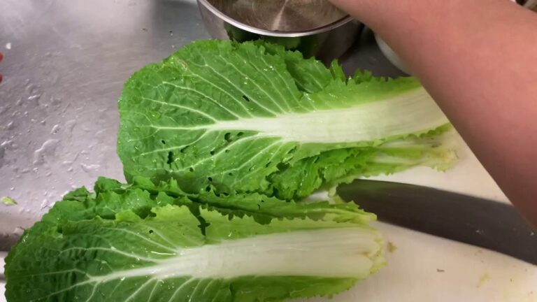 いただきものの白菜で鶏ミンチミルフィーユ
