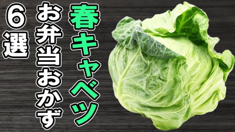 【お弁当おかず】春キャベツの簡単料理レシピ6選　冷めても美味しいおかずの作り方！冷蔵庫にあるもので簡単おいしい節約料理/旦那弁当/毎日弁当/春キャベツレシピ/bento