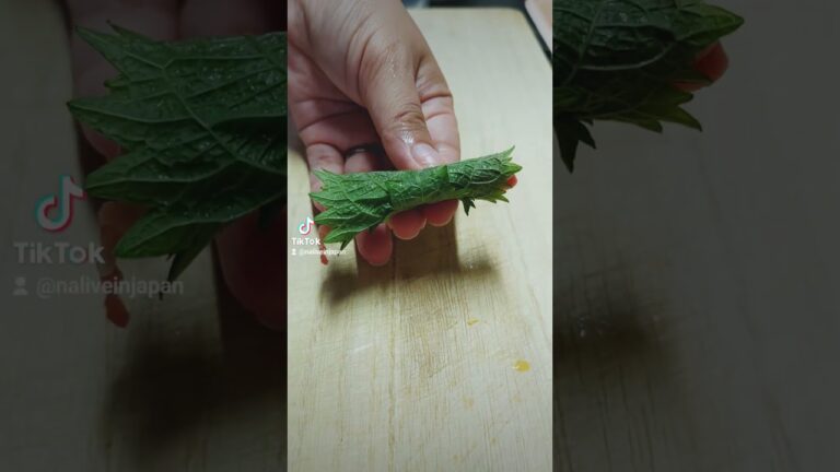 大葉の牛肉巻き bò cuốn tía tô lạ miệng #nacancook #簡単料理 #cooking #おすすめ #美味しい #人気 #料理動画 #簡単レシピ #節約レシピ #節約料理