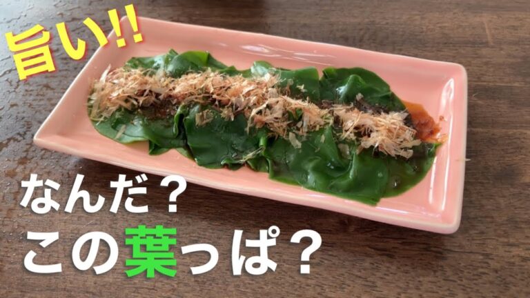 オカワカメの美味しい食べ方