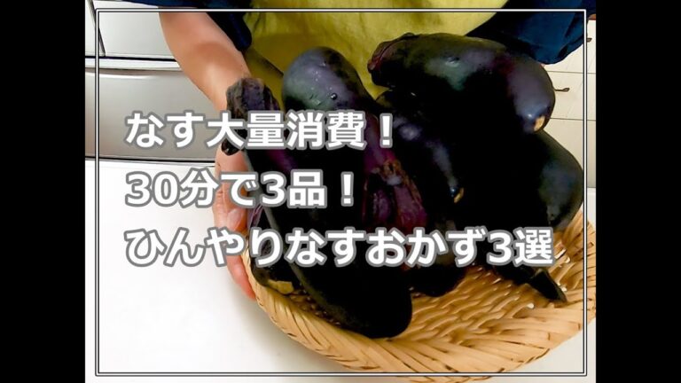 【なす大量消費】30分で作るなすが美味しいレシピ3品！