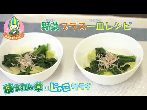 管理栄養士監修！ほうれん草のじゃこサラダを作ろう♪