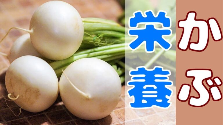 【関西弁】カブが自分の健康・美容効果について力説するそうです【野菜】【栄養】