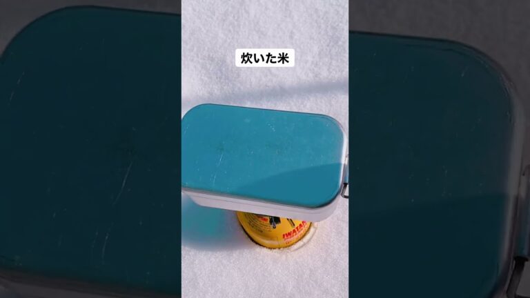 肉じゃがカレーズボラ版 #shorts