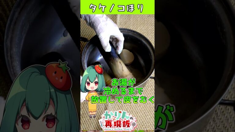 初夏が旬のタケノコほったどーー！たけのこご飯とタケノコのお吸い物の作り方【料理】【ゆっくり実況】
