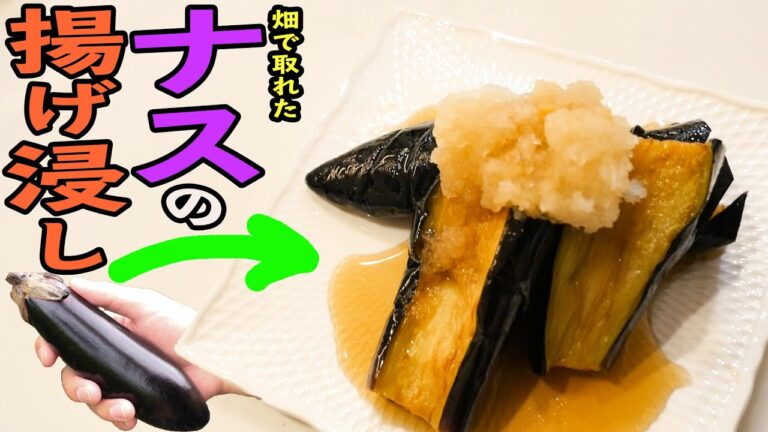 【ナス飯】揚げ浸しで家庭菜園で採れたナスを大量消費！