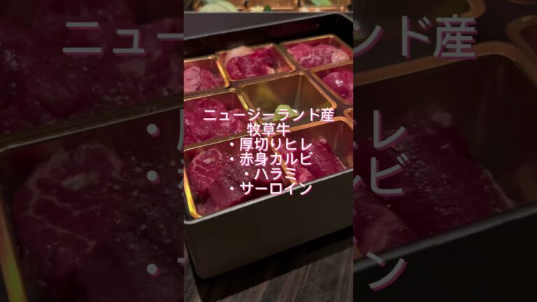 【大阪・肥後橋】牧草牛の焼肉にハマりました！お肉の旨味と甘みが絶品「Let It Beef」#大阪グルメ #焼肉 #食べ歩き