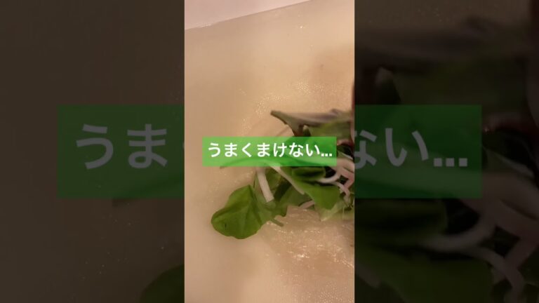 ライスペーパーアレンジ！　# #かんたんレシピ #アレンジレシピ #ビールに合う #失敗 #食感 #サラダレシピ