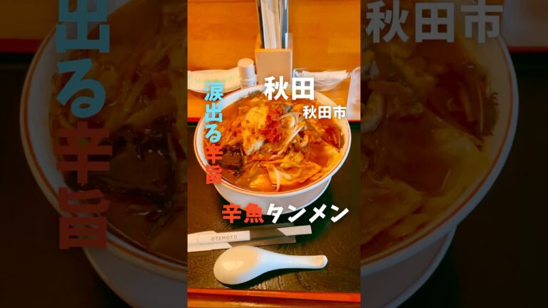 限定の「辛魚タンメン」【秋田市】 #グルメ好きな人と繋がりたい #ランチ #地元飯秋田 #秋田グルメ #グルメ #タンメン #激辛 #町中華 #中華