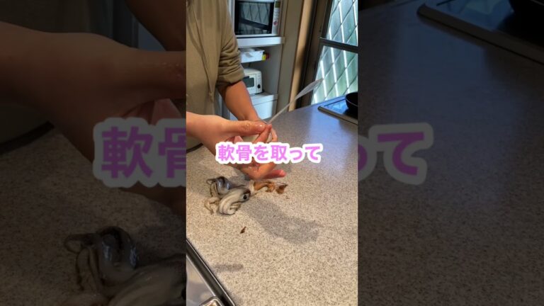 もち米を使わない♡フライパンで作る【イカ飯】＃shorts ＃アラフィフ