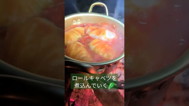 ロールキャベツを煮込んでいく🥬🔥 #shorts #ソロキャンプ #bonfire #cooking #ロールキャベツ