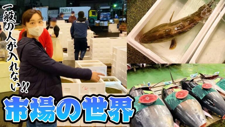 【立入禁止】魚屋だからこそお見せできる！市場の世界にご招待します♪