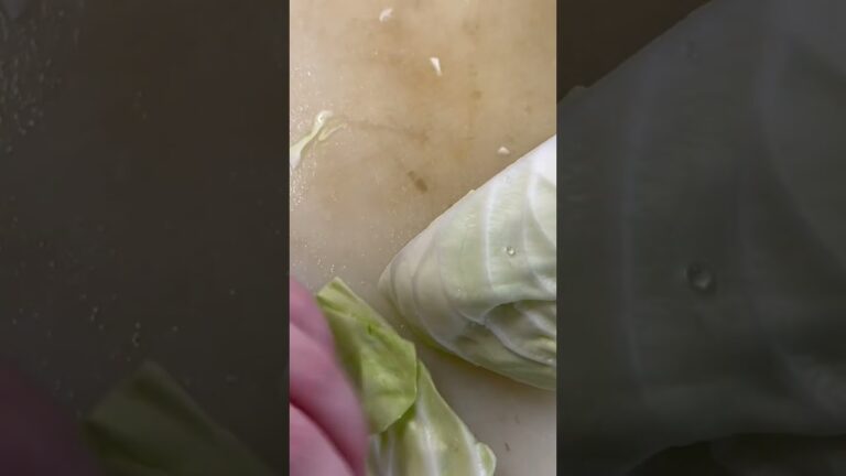 キャベツの千切り【味噌汁】