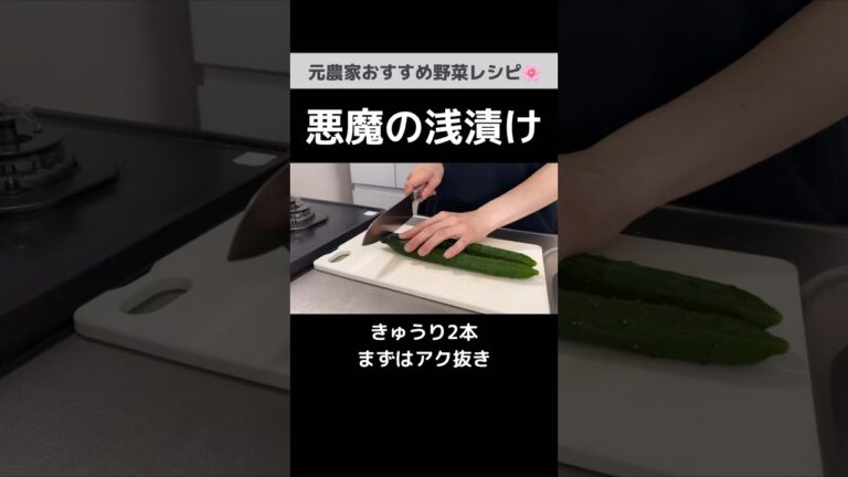ぜひ作って欲しい！元農家おすすめのやみつき浅漬け｜ナスときゅうりのピリ辛浅漬け