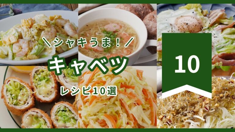【飽きない美味しさ】キャベツが主役の絶品レシピ10選！作り置きにも