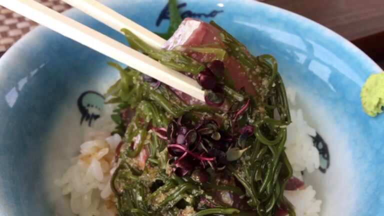 ブリのゴマ漬け丼をお昼に頂きました～♪ 　魚匠ダイニング沖海月　山形の加茂水族館へ行って来ました～♪