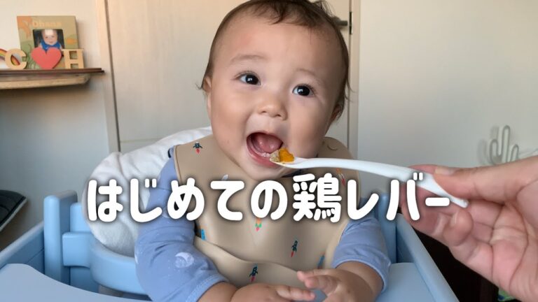 鶏レバーとカボチャの味噌からめ 【生後10ヶ月】