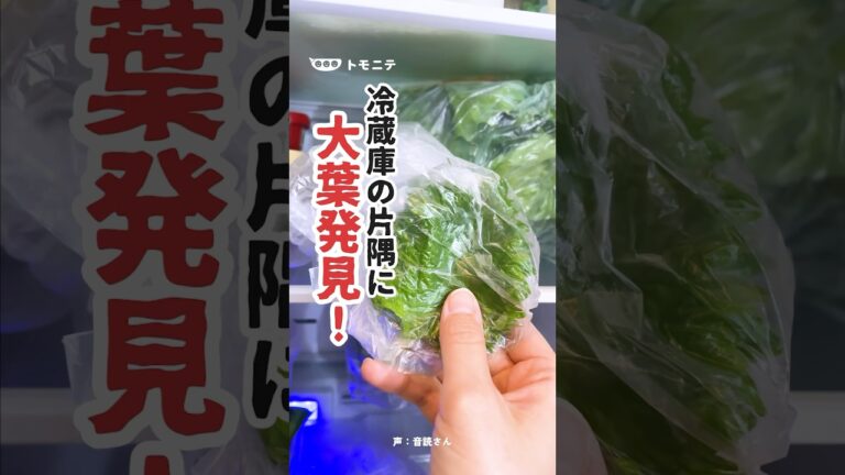 もうシナシナにしない！知らなきゃ損 大葉の保存方法#保存方法 #しそ #大葉 #冷蔵庫整理 #冷蔵庫収納 #ライフハック