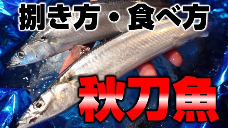 旬の秋刀魚の刺身を高級鮨屋のに！【秋刀魚の刺身三種盛り・塩焼き】