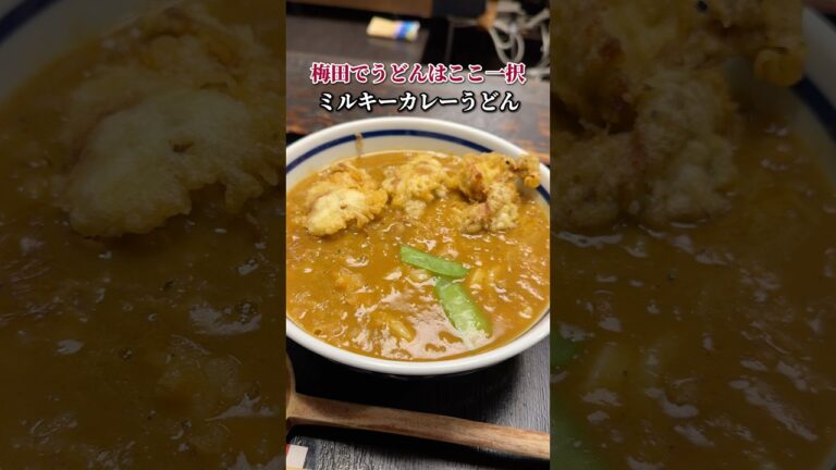 梅田でうどんはここ一択！ミルキーカレーうどん