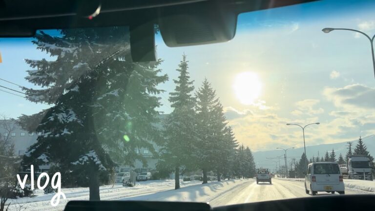 【一人暮らしvlog】疲れた心も澄んだ空気に浄化された静かな日常