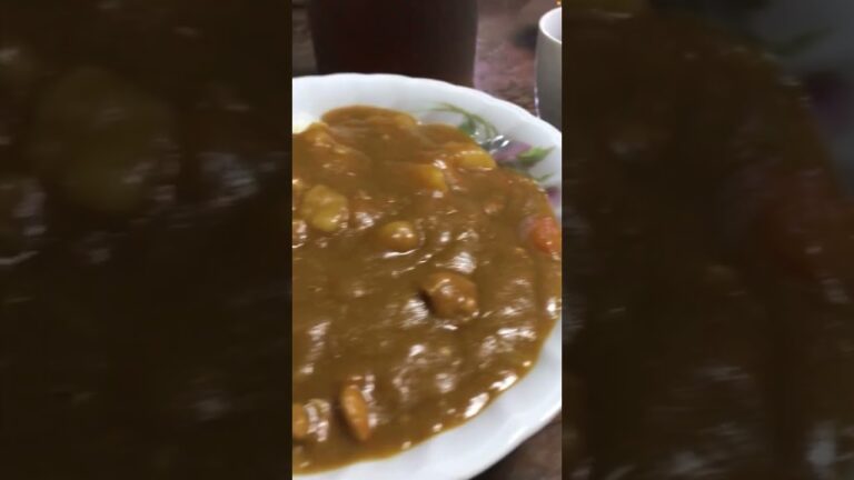 【夕食】今夜はカレーライス二日目