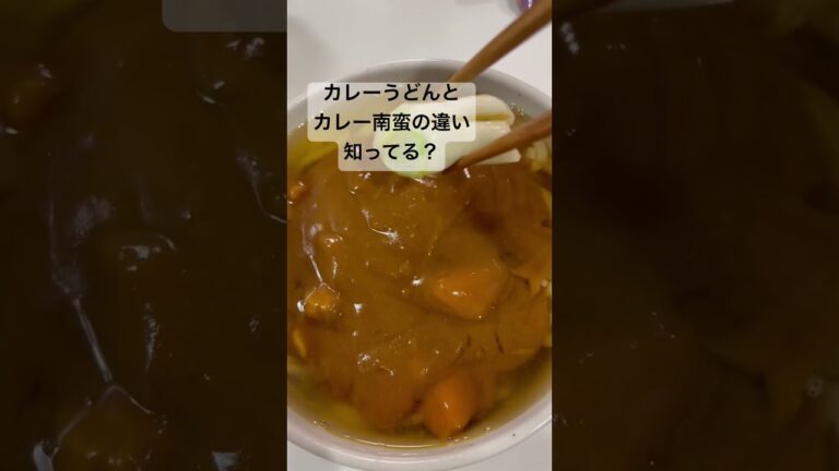 カレーうどんとカレー南蛮の違い知ってますか？#美味い #カレー #クイズ #料理