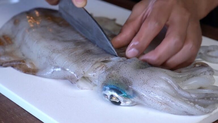 【プロが教える】アオリイカの絶品レシピ