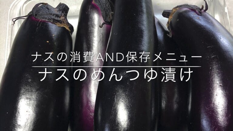 （ナスの大量消費メニュー）なすのめんつゆ漬け