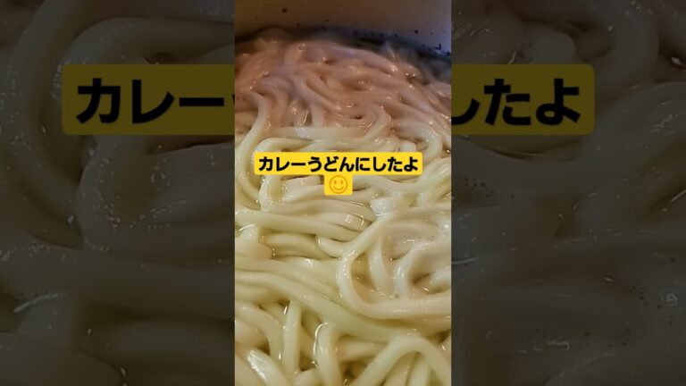 夕飯、カレーうどん。