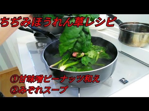 【菜食料理】ちぢみほうれん草おかずレシピ
