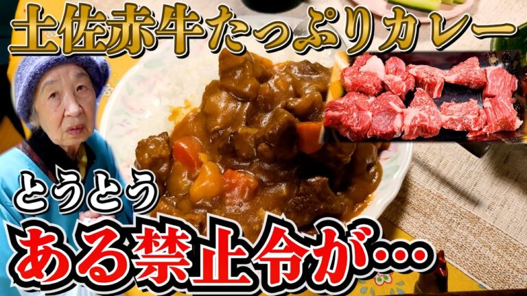 とある日の夕食 ばあちゃんの甘々特製カレーと発言が可愛いばあちゃんと。【本篇】
