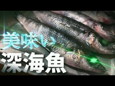 【深海魚ってうめぇんだ】限界社会人の酒飲みレシピ【メヒカリ揚げ】