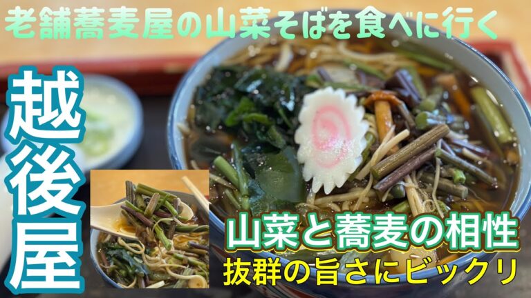 老舗蕎麦屋の山菜そばを食べに行く【ゆきぼうが食べまくる】山菜と蕎麦の相性 抜群の旨さにビックリ in 越後屋